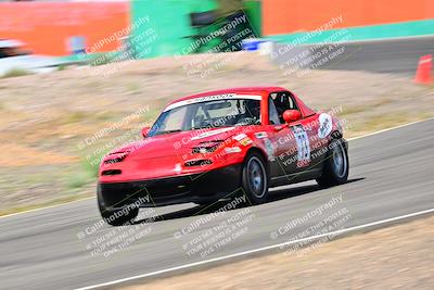 media/May-04-2025-Lucky Dog Racing (Sun) [[21629467aa]]/Turn 4 (10-1045am)/Front/